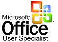 Microsoft Office Logo